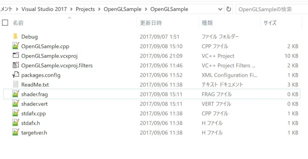 The shader files in the project folder
